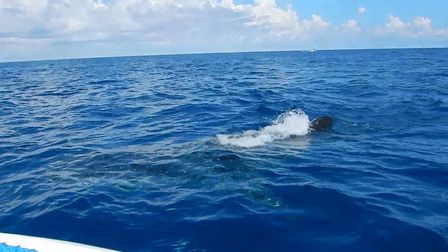 �J���N���P�P