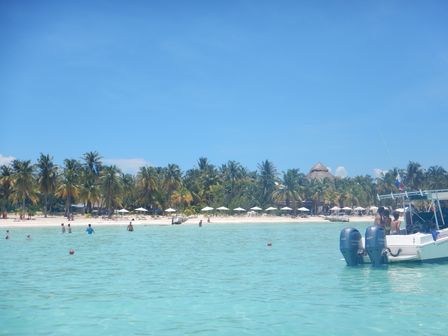 �J���N���P�X