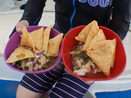 �J���N���Q�T