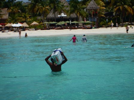 �J���N���Q�V