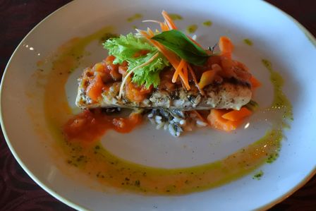 �J���N���T�R