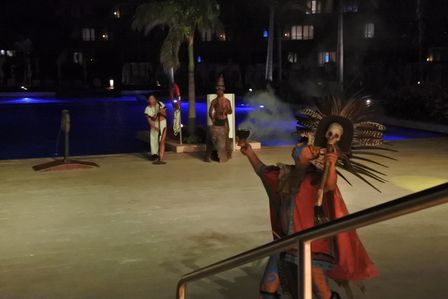 �J���N���T�X