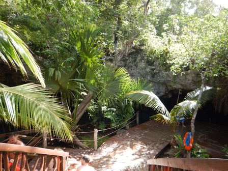 �J���N���P�T