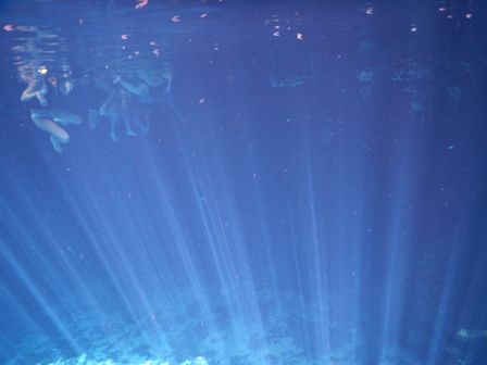 �J���N���Q�Q