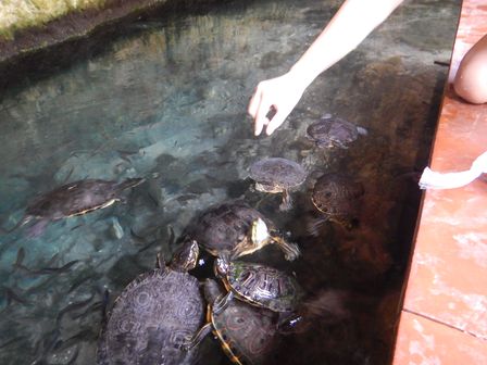 �J���N���Q�S