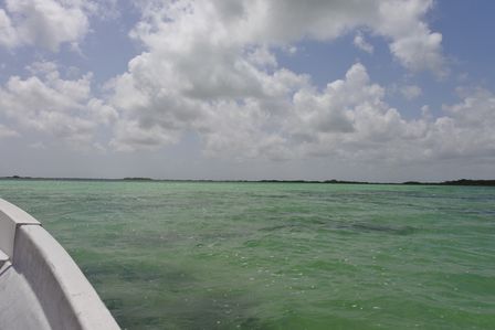 �J���N���Q�X