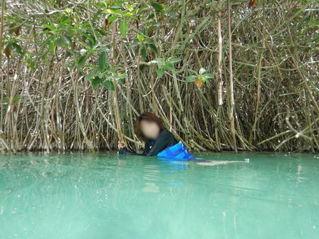 �J���N���R�U