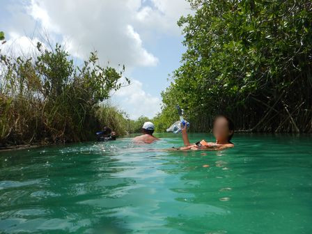 �J���N���R�V