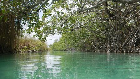 �J���N���R�X