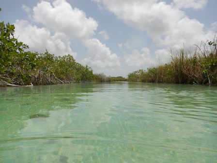 �J���N���S�Q