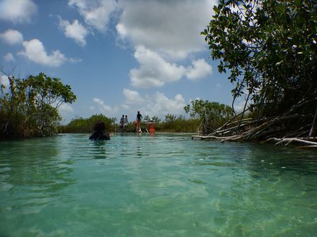 �J���N���S�R