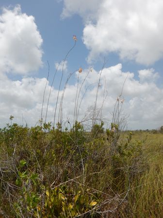 �J���N���S�S