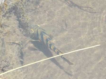 �J���N���S�T