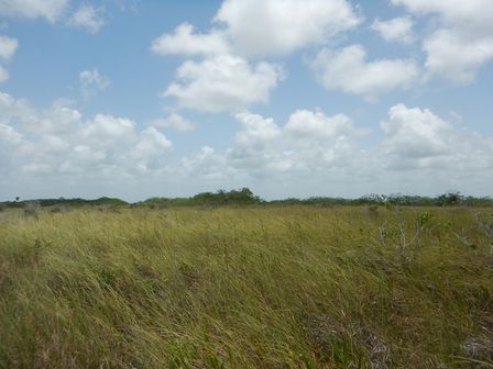 �J���N���S�U