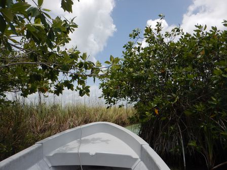 �J���N���S�V