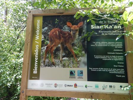 �J���N���S�W