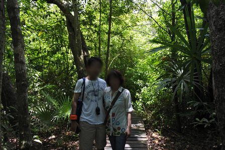 �J���N���S�X