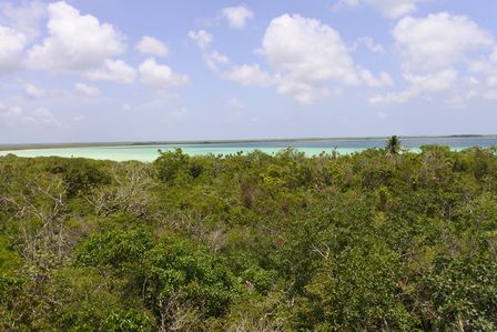 �J���N���T�Q