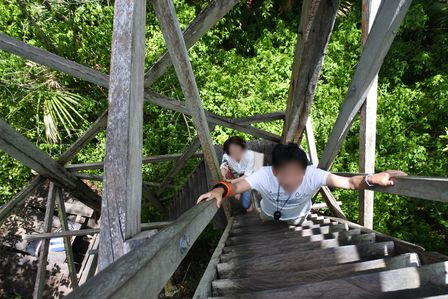 �J���N���T�R