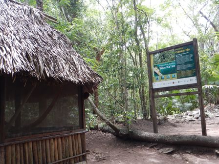 �J���N���T�T