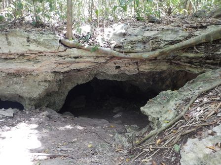 �J���N���T�V