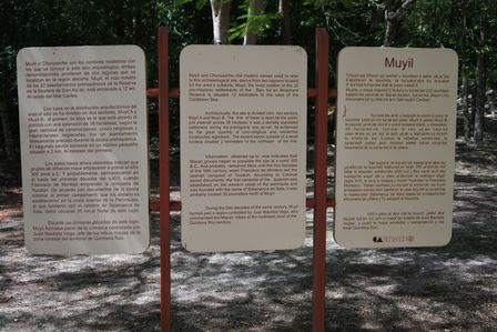 �J���N���U�R