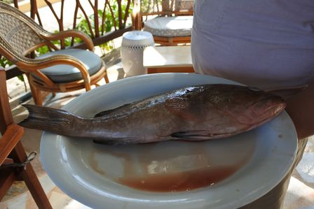 �J���N���V�O