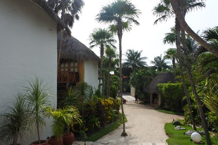 �J���N���V�U