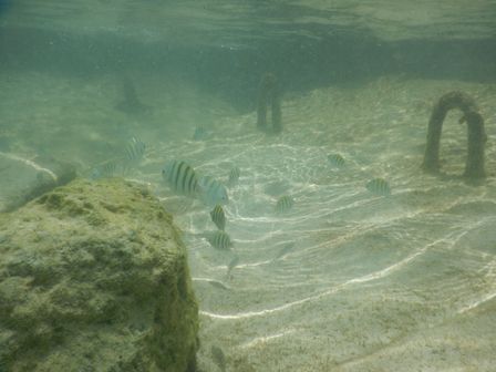 �J���N���P�R