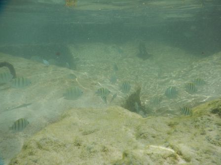 �J���N���P�T