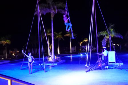 �J���N���T�R