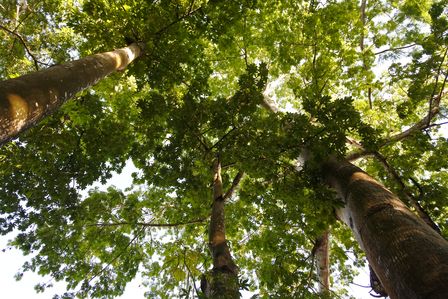 �J���N���R