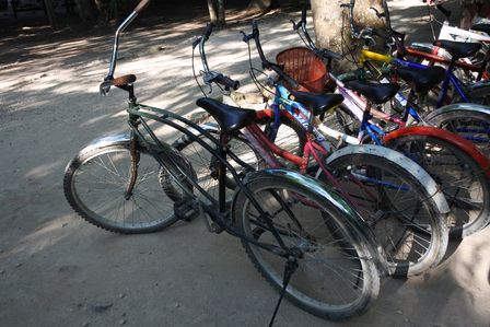 �J���N���T