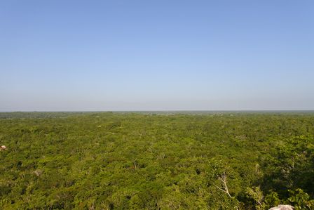 �J���N���P�R