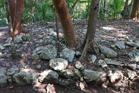 �J���N���Q�Q