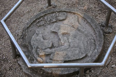 �J���N���Q�T