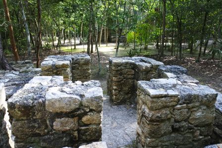 �J���N���Q�X