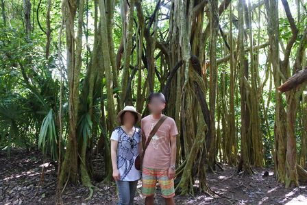 �J���N���R�Q