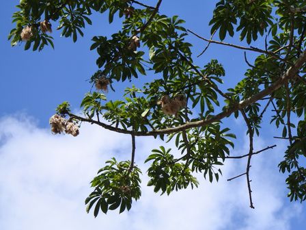 �J���N���R�S