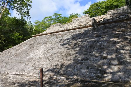 �J���N���R�T