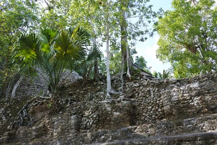 �J���N���R�U