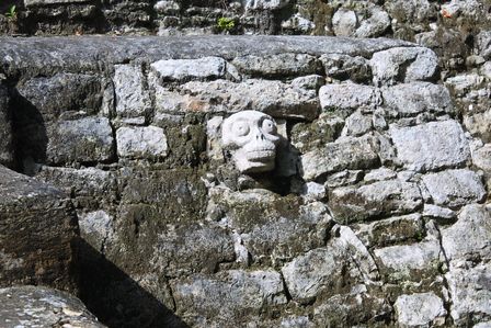 �J���N���R�V