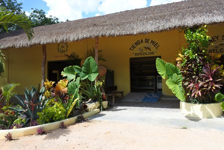 �J���N���S�P