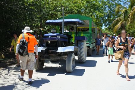 �J���N���S�T