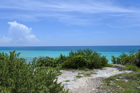 �J���N���S�X