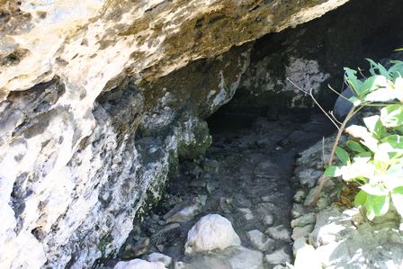 �J���N���T�Q