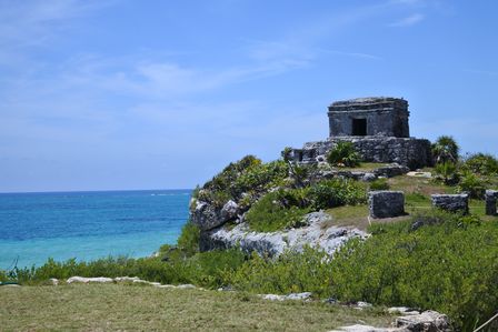 �J���N���T�R