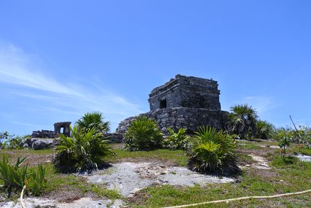 �J���N���T�T