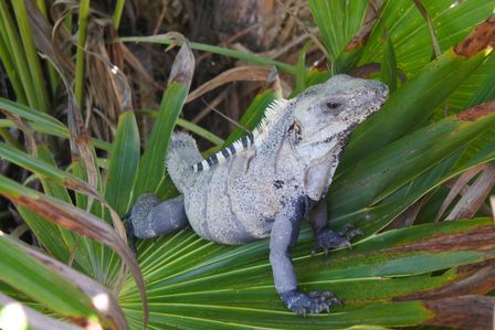 �J���N���T�U