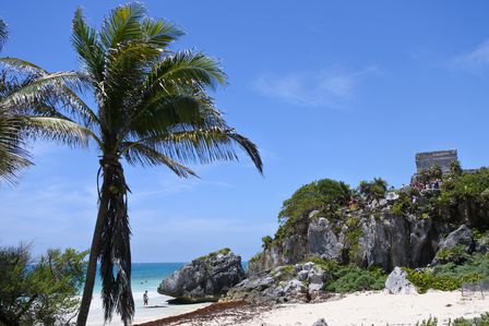 �J���N���T�V